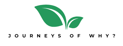 Journeys of why